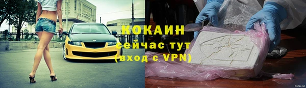 apvp Гусев