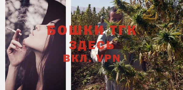 молекула духа Гусиноозёрск