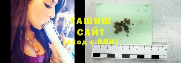 apvp Гусев