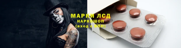 apvp Гусев