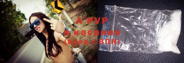 apvp Гусев